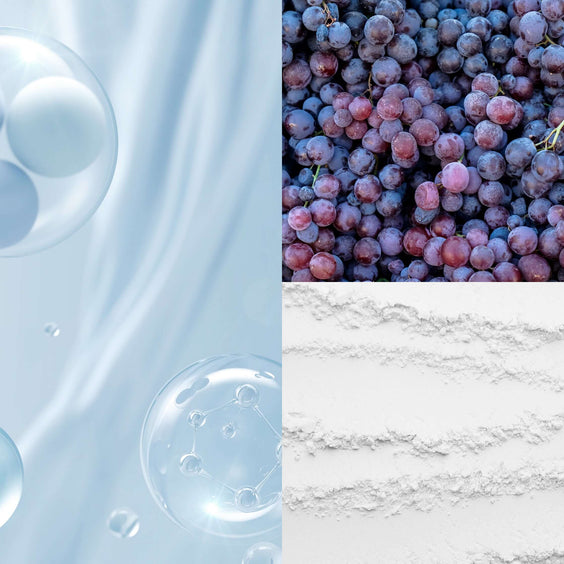Anti-Oxidant/Anti-Aging