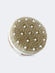 Brosse pour le corps