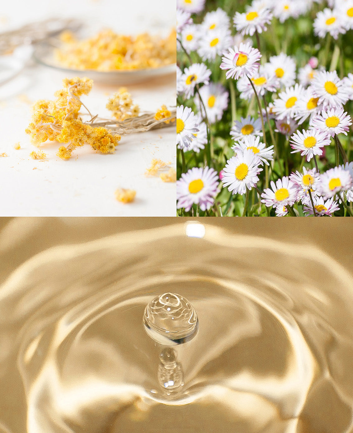 Plumping face mask Mask 27 - Cosmetics 27